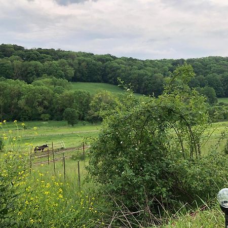 Bauernhof Fuer Naturliebhaber Bucha  Exteriér fotografie