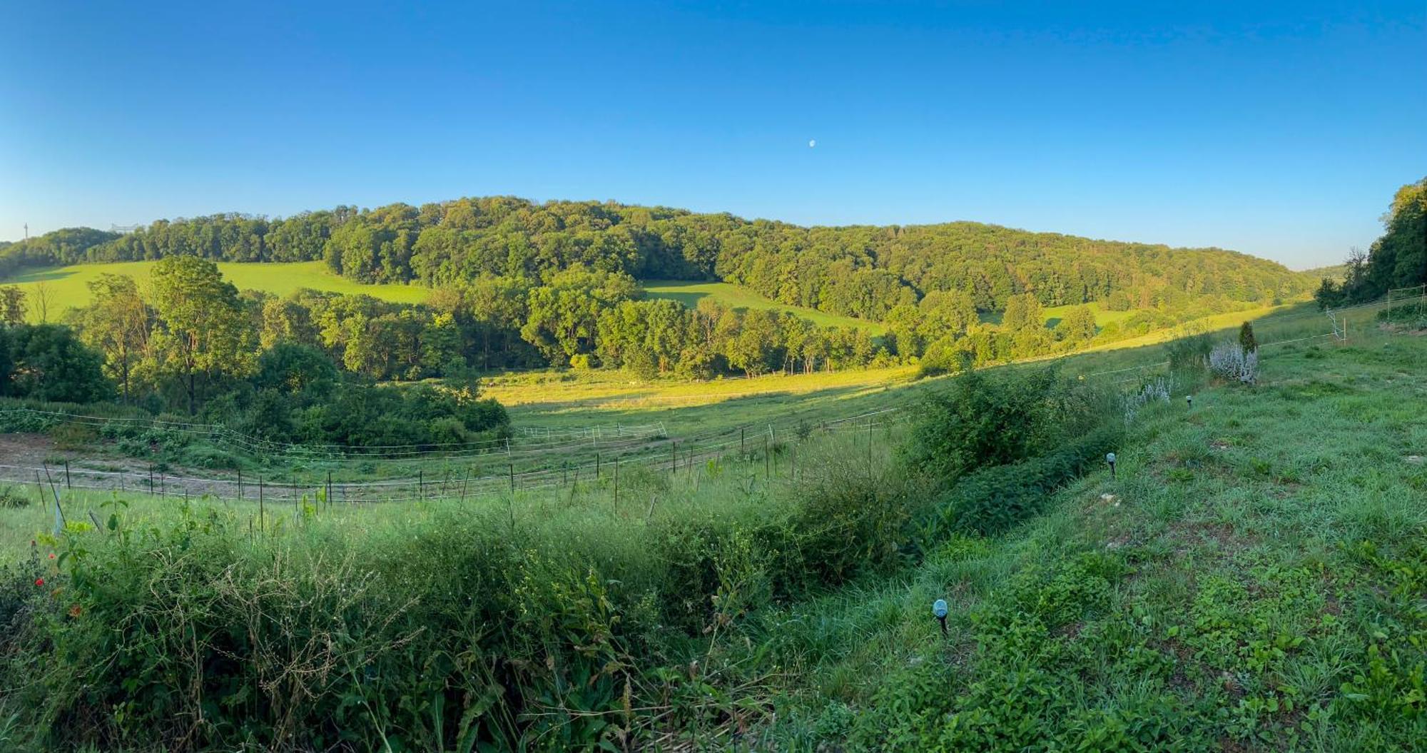 Bauernhof Fuer Naturliebhaber Bucha  Exteriér fotografie