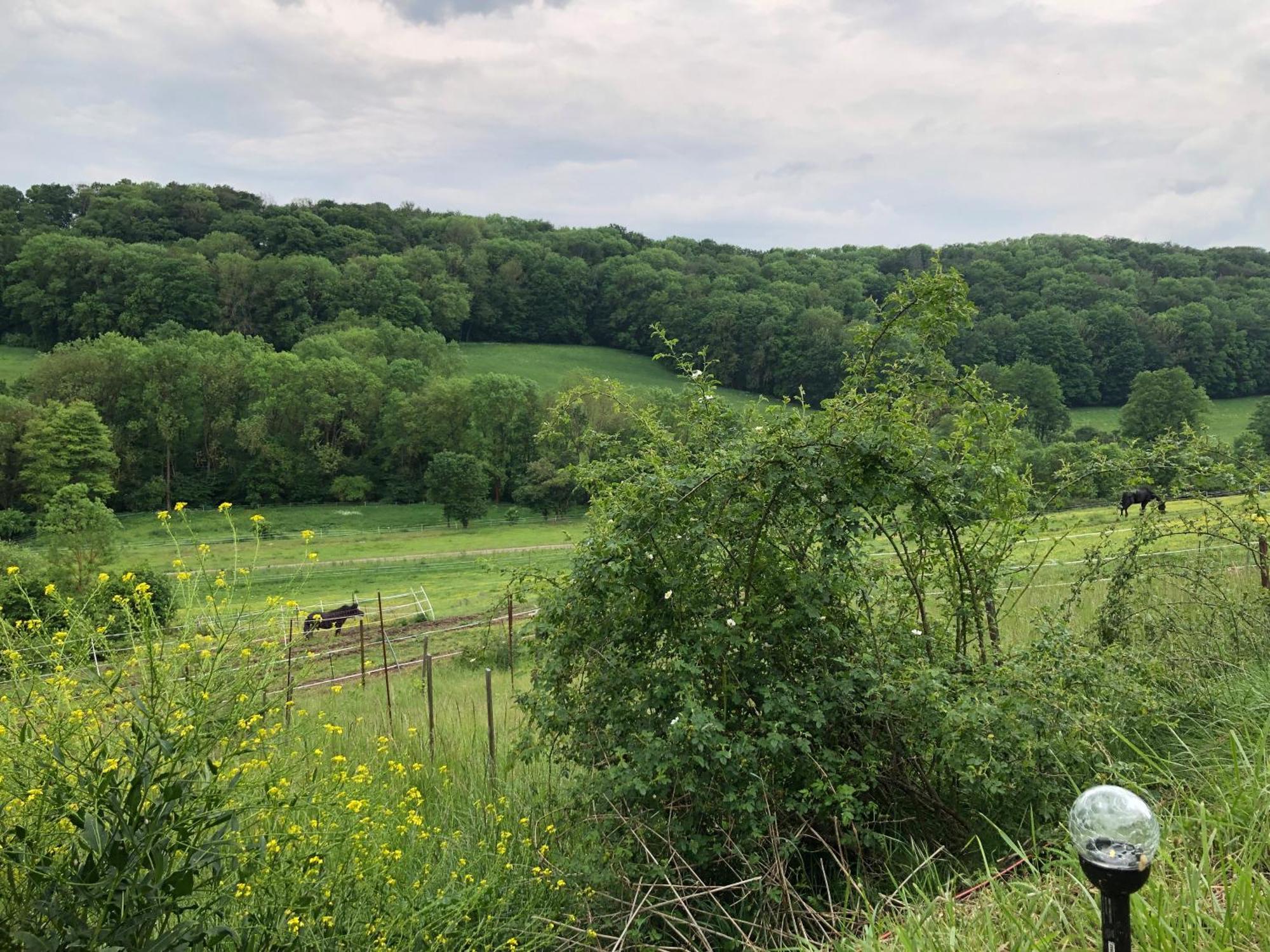Bauernhof Fuer Naturliebhaber Bucha  Exteriér fotografie